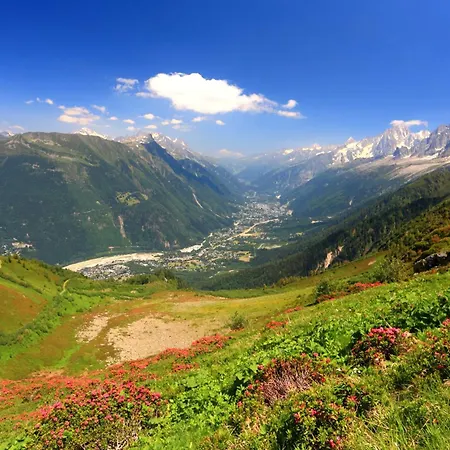 Grand Roc C413 From Slopes 280m, Mont-blanc View & Parking - Happy Chamonix